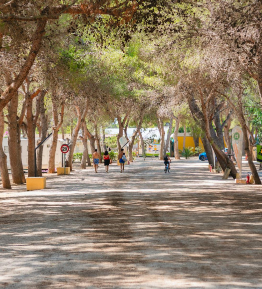Vieni a vivere un soggiorno in campeggio al mare!