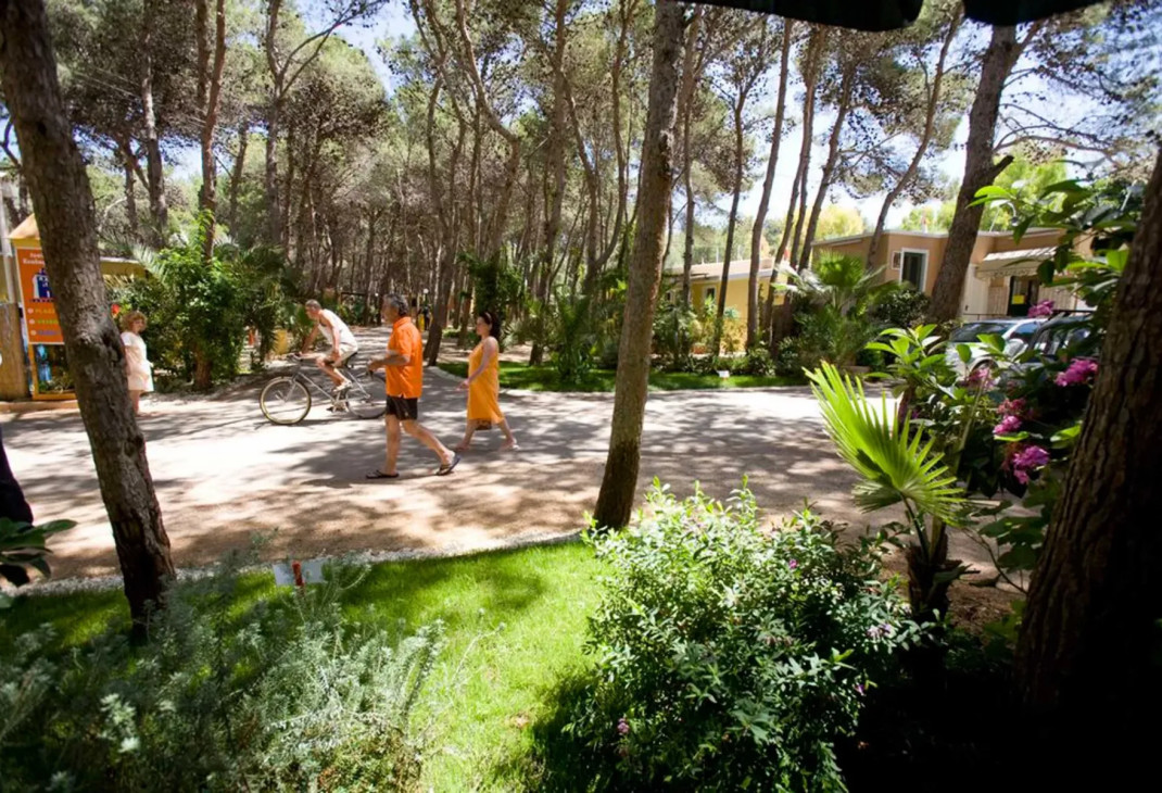 La Vecchia Torre Camping