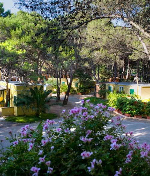 Bungalows - 1
