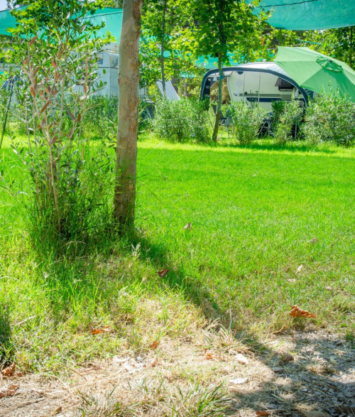 Campsite - 6