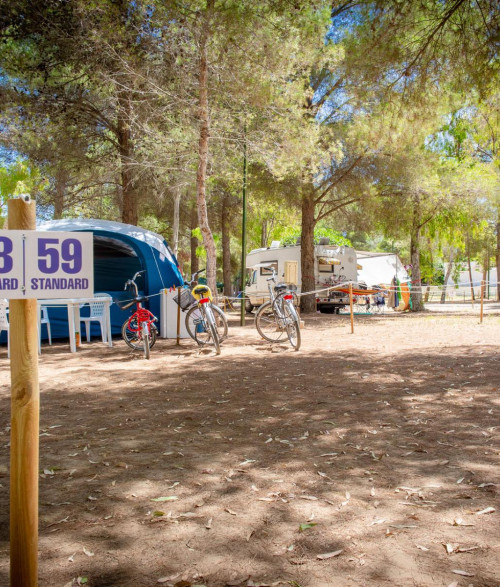 Campsite - 8