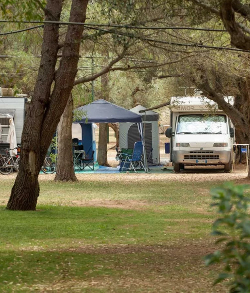 Campsite - 3