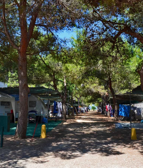 Camping - 1