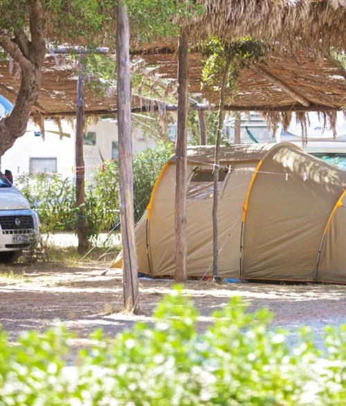 Campsite - 2