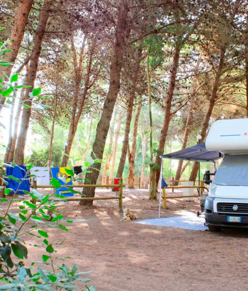 Campsite - 5