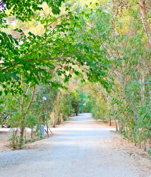 Campsite - 2