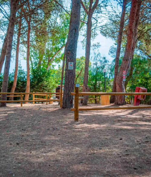Campsite - 3