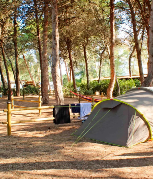 Campsite - 9