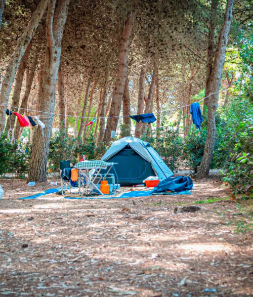 Campsite - 10