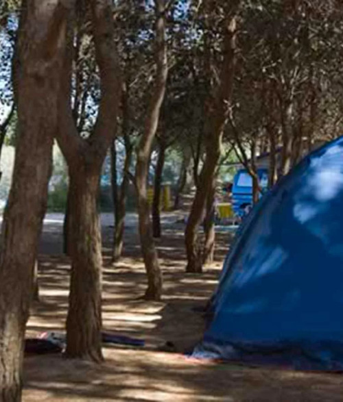 Campsite - 1