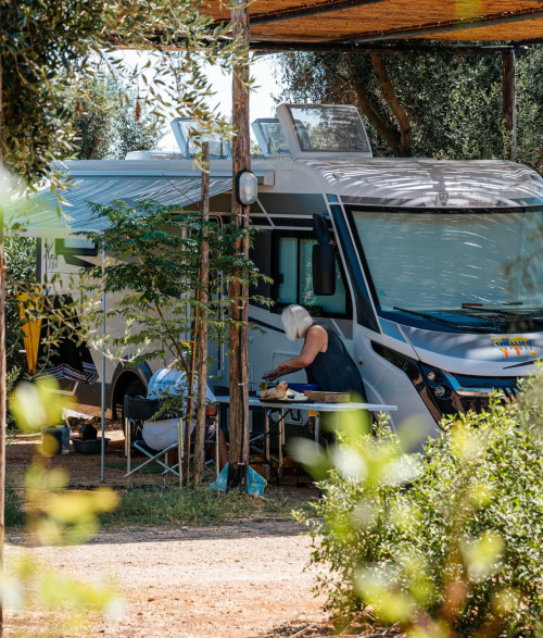 Campsite - 1