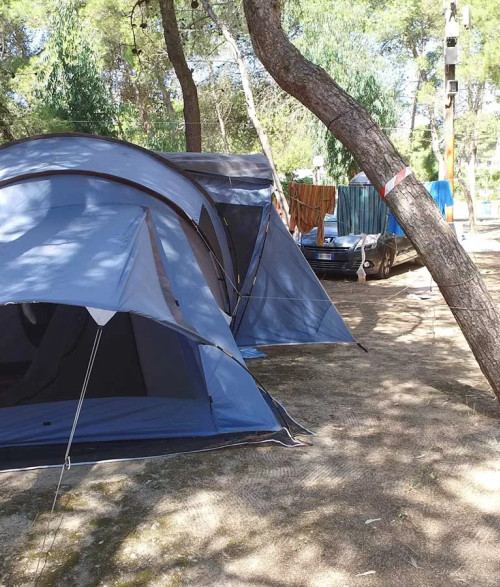 Camping - 5