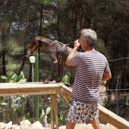 La Scogliera Camping Salento - 3